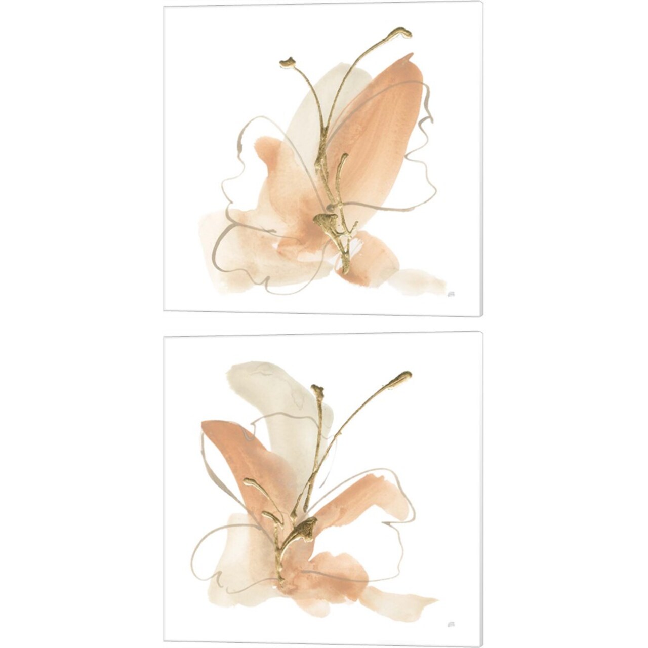 Butterfly Flower by Chris Paschke 14" x 14" Canvas Wall Art (Set of 2)